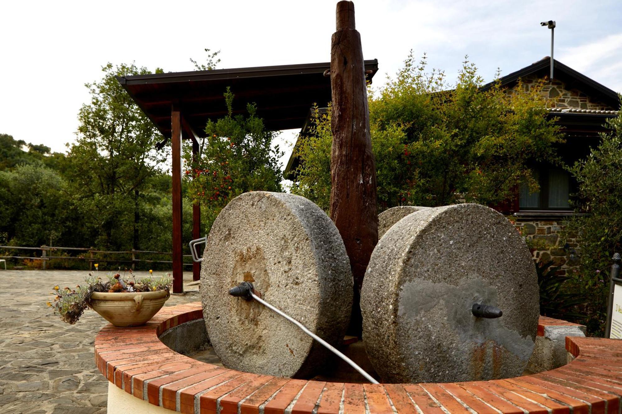 Il Vecchio Frantoio Villa Stella Cilento Exteriör bild